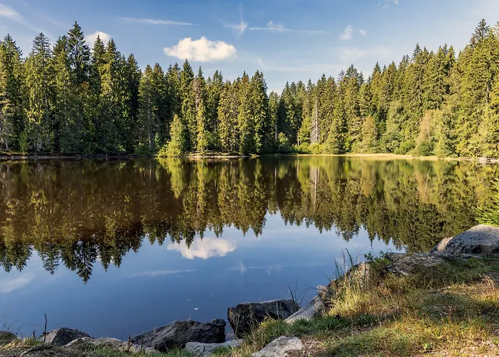 Hotel Baeren Titisee